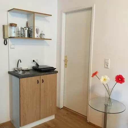 Mozart - House Homestay *