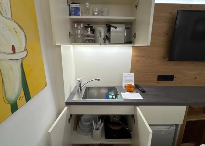 Mozart - House Проживание в семье